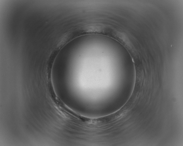 X0000070170261200606021105