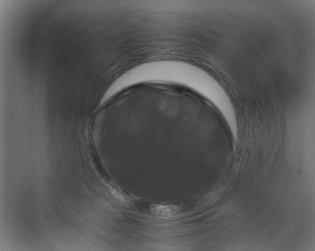X0000070170277200606021105