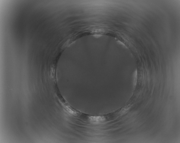 X0000070170281200606021105