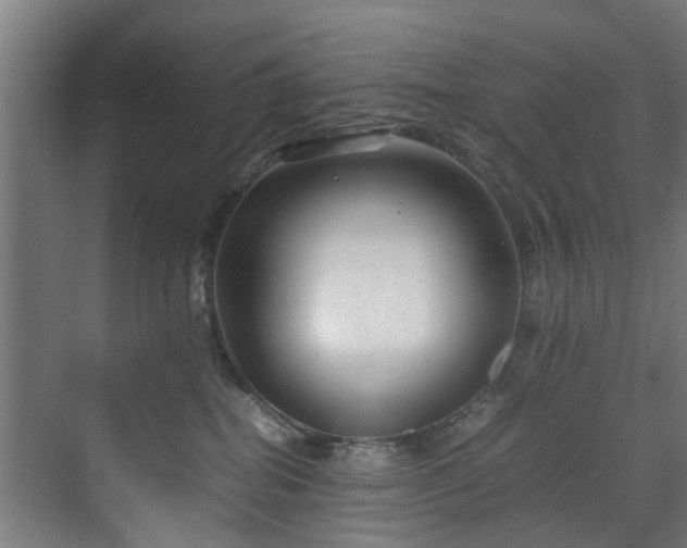X0000070170282200606021105