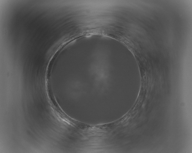 X0000070170290200606021104