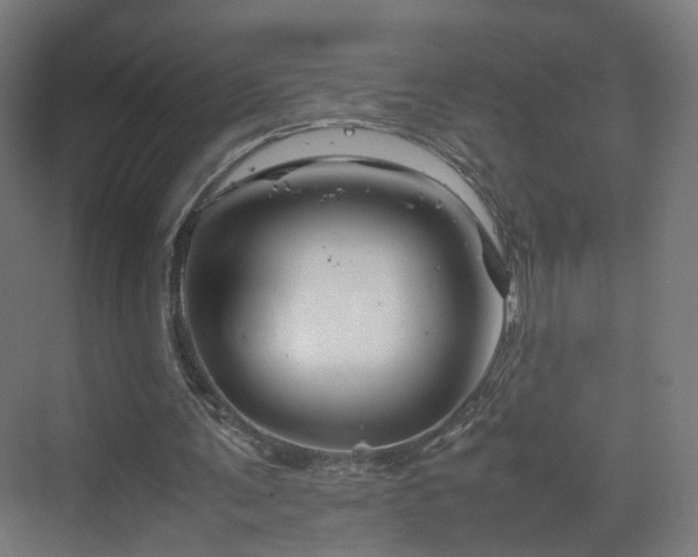 X0000070170291200606021104