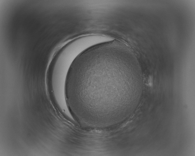 X0000070170294200606021104
