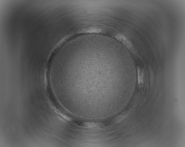 X0000070170300200606021104