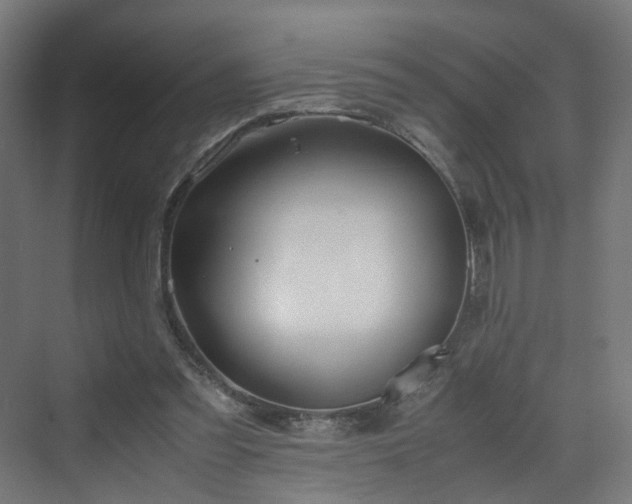 X0000070170301200606021104