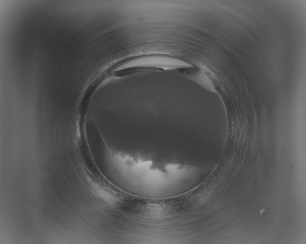 X0000070170302200606021104