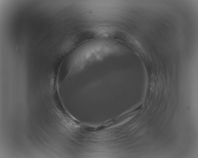 X0000070170314200606021104