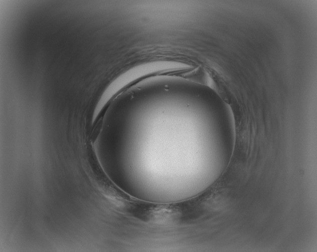 X0000070170315200606021104