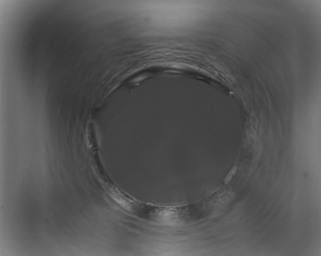 X0000070170325200606021104