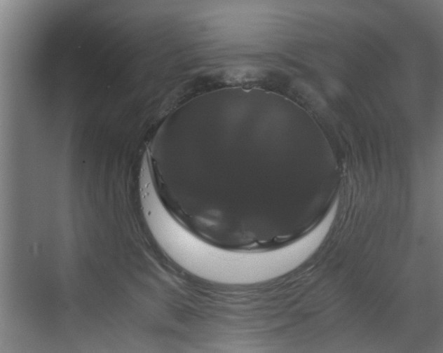 X0000070170327200606021104