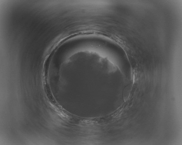 X0000070170339200606021103