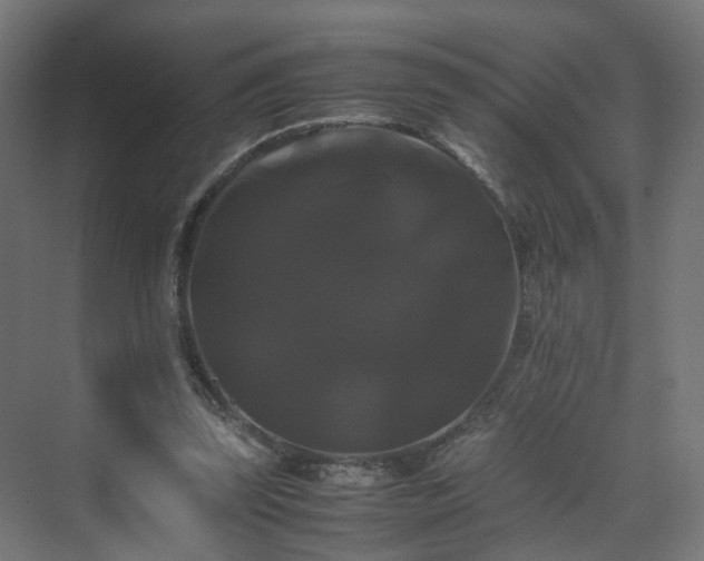X0000070170347200606021103