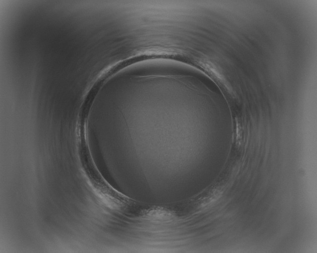 X0000070170348200606021103