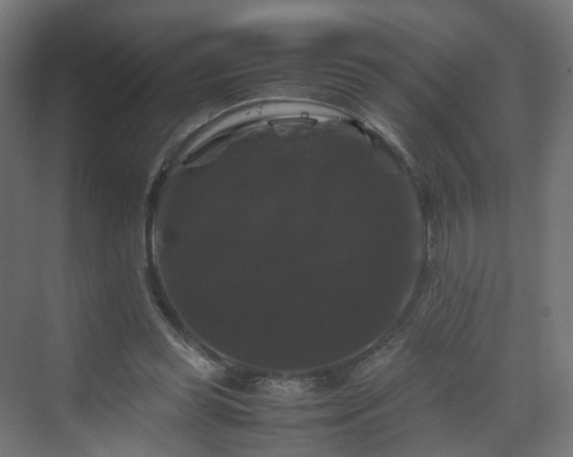 X0000070170349200606021103