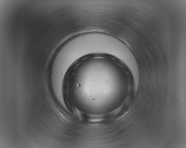 X0000070170350200606021103