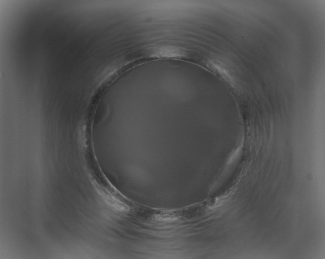 X0000070170351200606021103