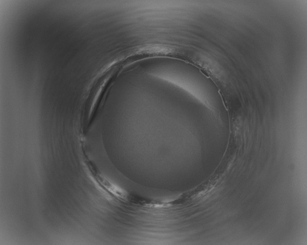 X0000070170352200606021103