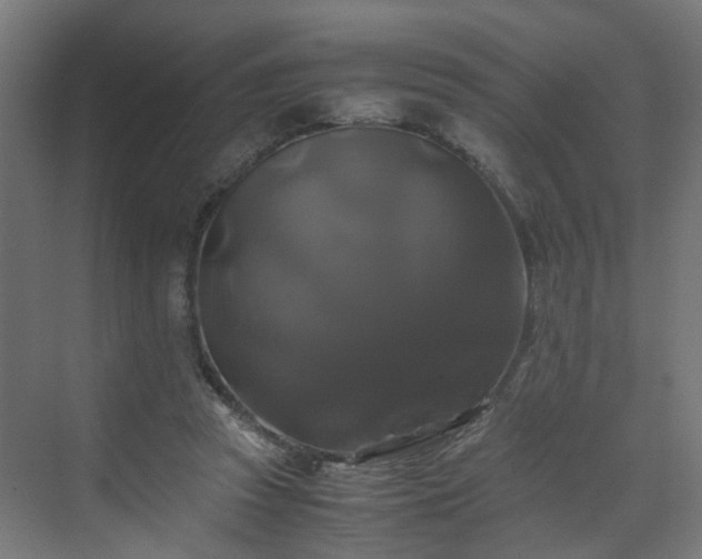 X0000070170353200606021103