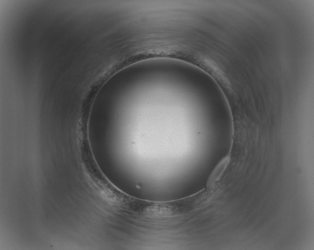X0000070170354200606021103