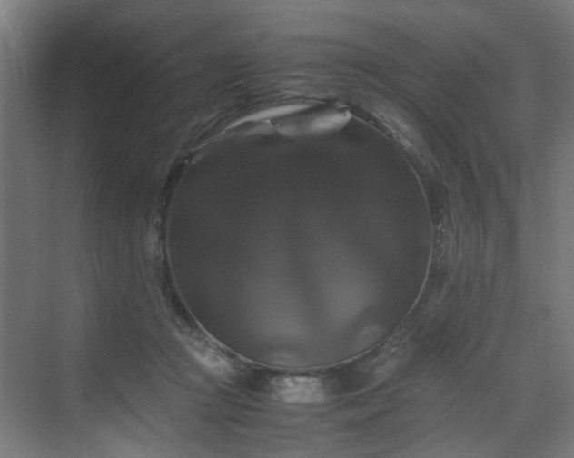 X0000070170361200606021103