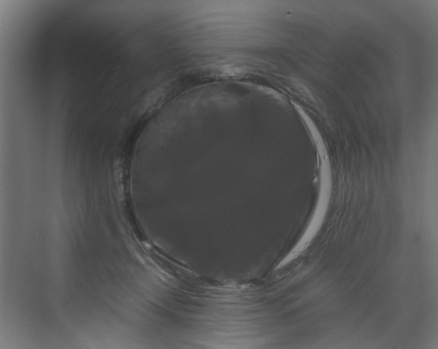 X0000070170366200606021103