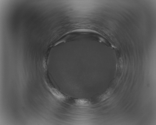 X0000070170380200606021103