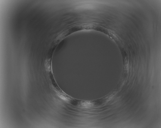 X0000070170383200606021103