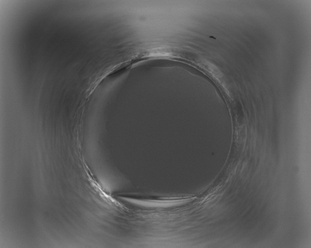X0000070170385200606021103