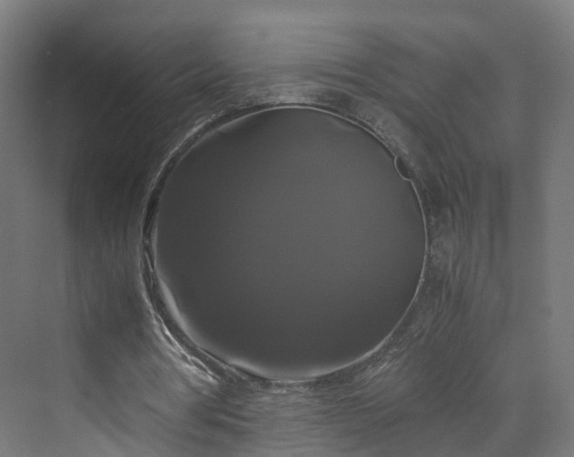 X0000070170386200606021103