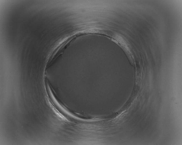 X0000070170389200606021103