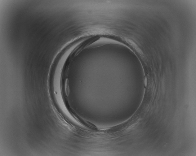 X0000070170391200606021103