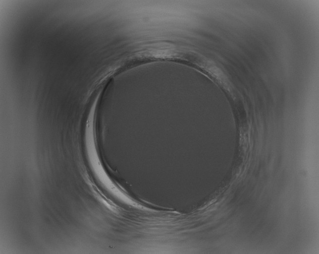 X0000070170397200606021102