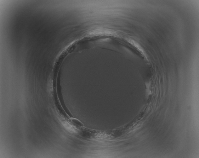 X0000070170399200606021102