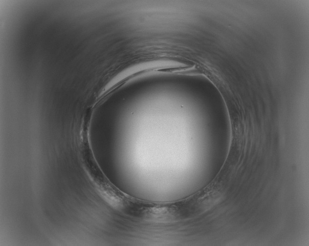 X0000070170406200606021102