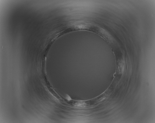 X0000070170410200606021102