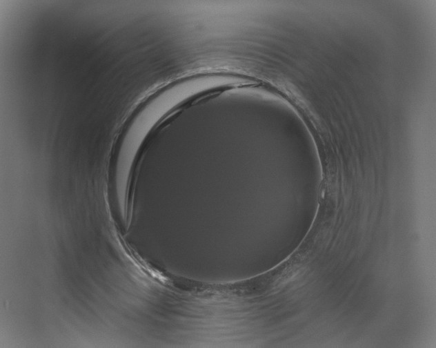 X0000070170434200606021101