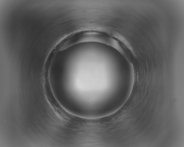 X0000070170436200606021101