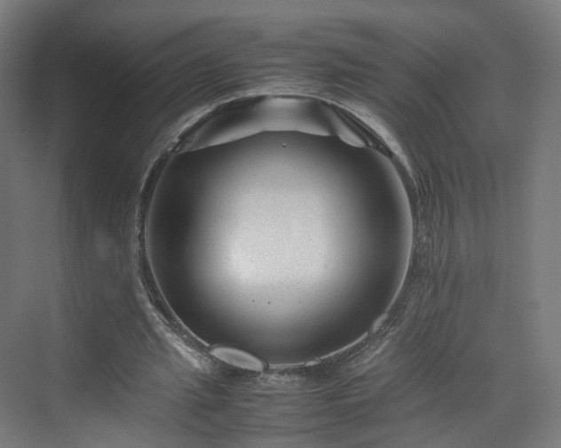 X0000070170437200606021101