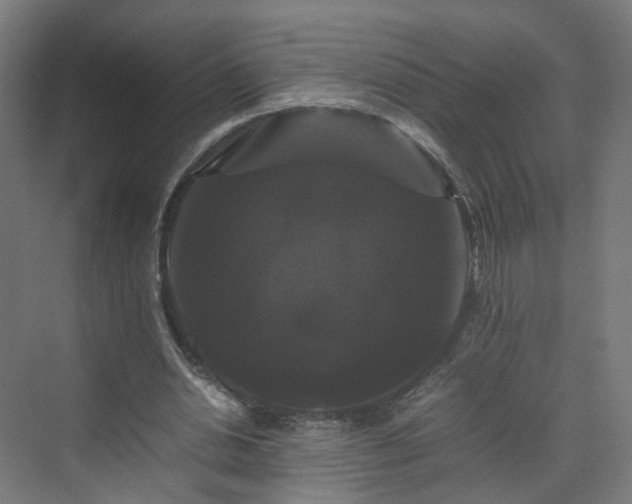 X0000070170438200606021101