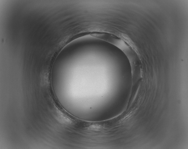 X0000070170441200606021101