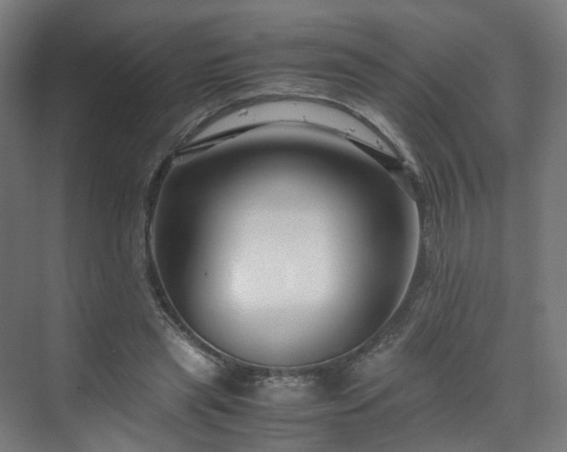 X0000070170445200606021101