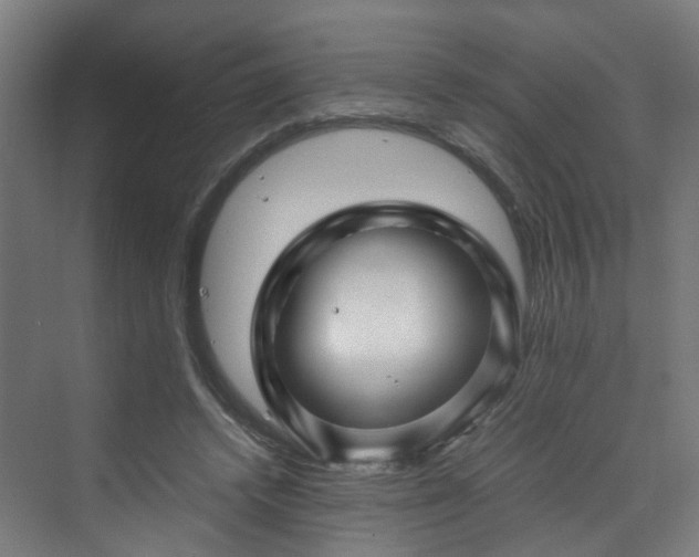 X0000070170448200606021101