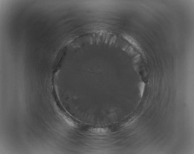 X0000070170449200606021101