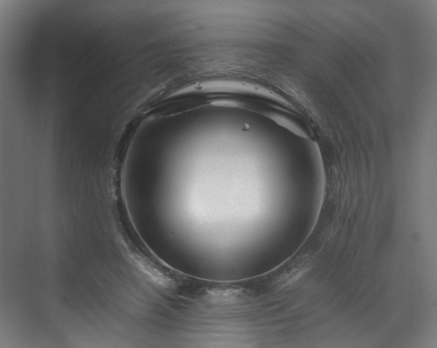 X0000070170450200606021101
