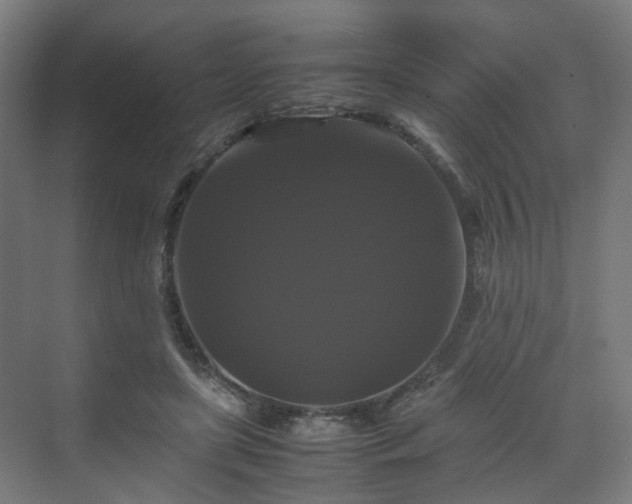 X0000070170451200606021101
