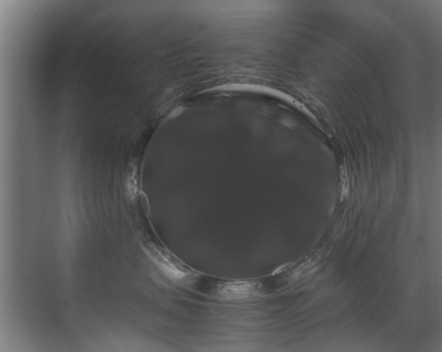 X0000070170479200606021102