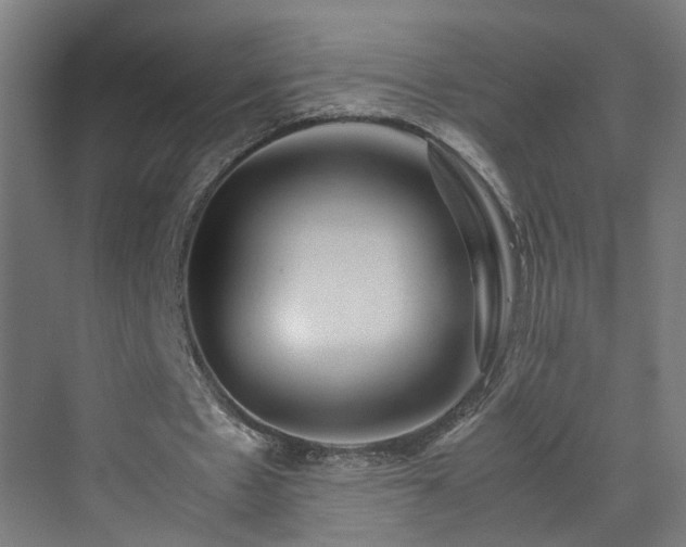 X0000070170481200606021101