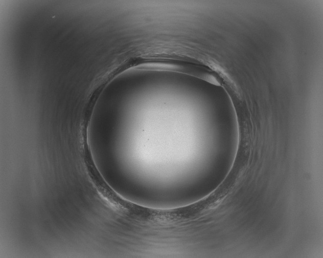 X0000070170489200606021101