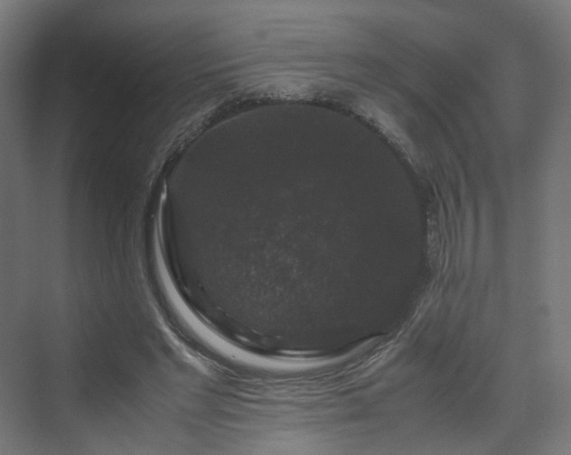 X0000070170493200606021101