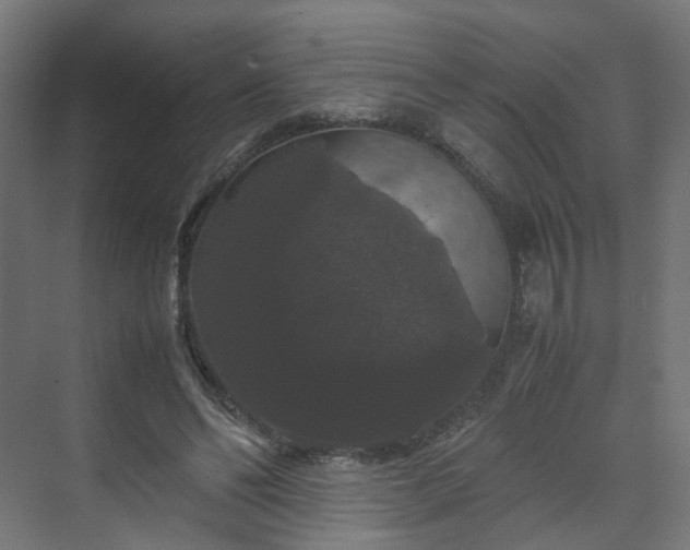 X0000070170494200606021101